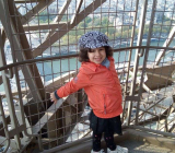 Lilia est montée dans la Tour Eiffel!!!!