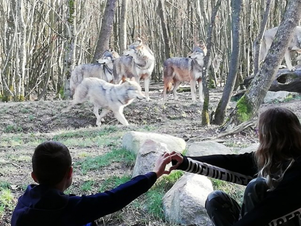 Calvyn et les loups!