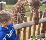 Ruben au zoo de Beauval